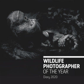 Wildlife Photographer of the Year Desk Diary 2020 by Natural History Museum, 9780565094812