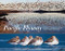 Pacific Flyway (Waterbird Migration from the Arctic to Tierra del Fuego) by Audrey DeLella Benedict, Geoffrey A. Hammerson, Robert W. Butler, 9781632171344