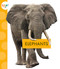 Elephants - 9781681524245 by Mary Ellen Klukow, 9781681524245