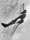 Bristol Blenheim by Andrew Bird, 9781445688725