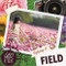 Exploring a Field by Holly Duhig, 9781786374363