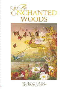 The Enchanted Woods - 9780648409540 by Shirley Barber, 9780648409540