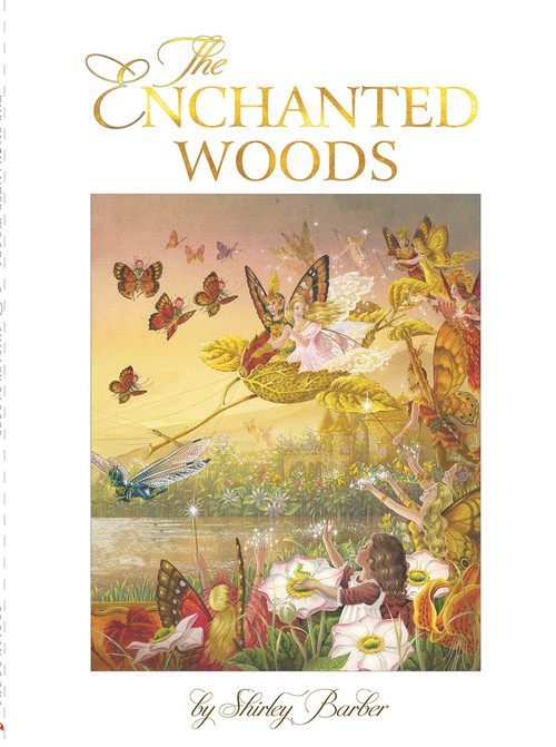 The Enchanted Woods - 9780648409540 by Shirley Barber, 9780648409540