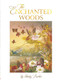 The Enchanted Woods - 9780648409540 by Shirley Barber, 9780648409540