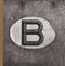 Belgicum (Dutch; Flemish Edition) by Stephan Vanfleteren, David van Reybrouck, 9789492081834