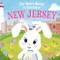 The Easter Bunny Is Coming to New Jersey by Eric James, Mari Lobo, 9781728201566