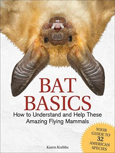 Bat Basics (How to Understand and Help These Amazing Flying Mammals) by Karen Krebbs, 9781591938439