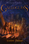 Galloglass by Scarlett Thomas, 9781481497909