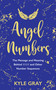 Angel Numbers (The Message and Meaning Behind 11:11 and Other Number Sequences) by Kyle Gray, 9781788173476