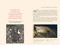 The Well-Read Cat by Michèle Sacquin, Pierre Rosenberg, 9788889854563