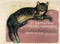 The Well-Read Cat by Michèle Sacquin, Pierre Rosenberg, 9788889854563