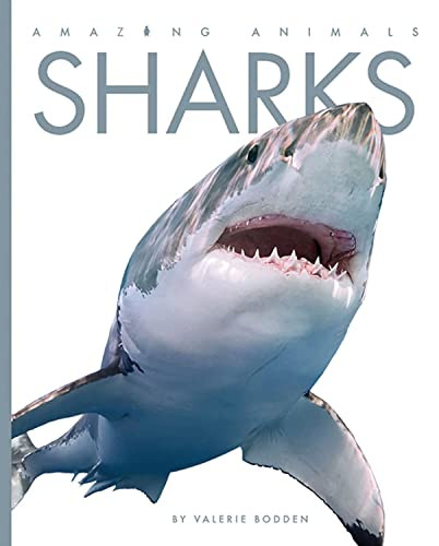 Sharks - 9781628327717 by Valerie Bodden, 9781628327717