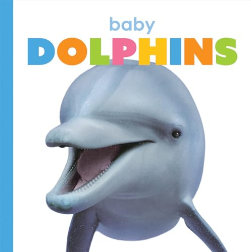 Baby Dolphins by Kate Riggs, 9781628328080