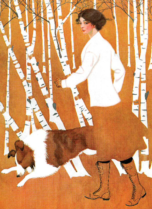 Birches Notebook (Cover art from Life Magazine, October 28, 1911) by Coles Phillips, 9780486838090