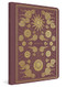ESV Illuminated Scripture Journal (Joshua (Paperback)) by , 9781433569289