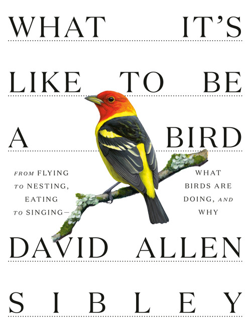 What It's Like to Be a Bird (From Flying to Nesting, Eating to Singing--What Birds Are Doing, and Why) by David Allen Sibley, 9780307957894