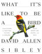 What It's Like to Be a Bird (From Flying to Nesting, Eating to Singing--What Birds Are Doing, and Why) by David Allen Sibley, 9780307957894