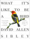 What It's Like to Be a Bird (From Flying to Nesting, Eating to Singing--What Birds Are Doing, and Why) by David Allen Sibley, 9780307957894
