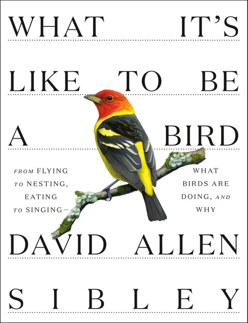 What It's Like to Be a Bird (From Flying to Nesting, Eating to Singing--What Birds Are Doing, and Why) by David Allen Sibley, 9780307957894