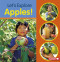 Let's Explore Apples! by Jill Colella, 9781541587410