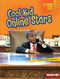 Cool Kid Online Stars by Laura Hamilton Waxman, 9781541577022