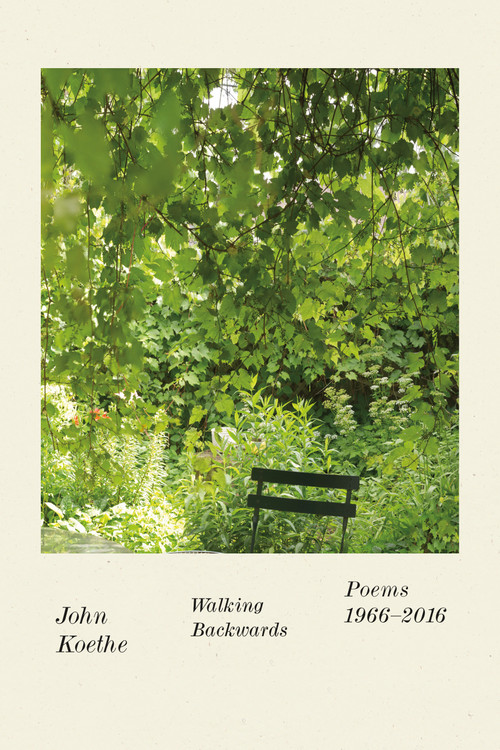 Walking Backwards (Poems 1966-2016) - 9780374538705 by John Koethe, 9780374538705