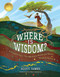 Where Is Wisdom? (A Treasure Hunt Through God's Wondrous World, Inspired by Job 28) by Scott James, 9781535965965