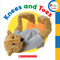 Knees and Toes! (Rookie Toddler) by Scholastic, 9780531245460