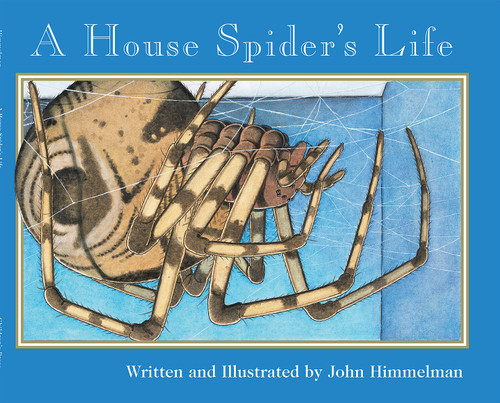 A House Spider's Life (Nature Upclose) by John Himmelman, John Himmelman, 9780516265360