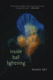 Inside Ball Lightning by Rainie Oet, 9781732039957