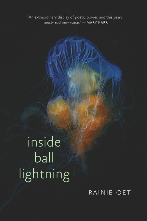 Inside Ball Lightning by Rainie Oet, 9781732039957