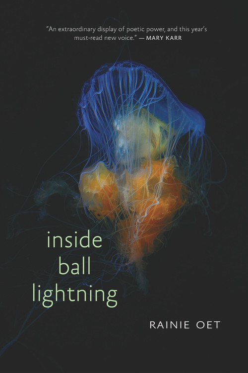 Inside Ball Lightning by Rainie Oet, 9781732039957