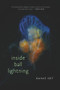 Inside Ball Lightning by Rainie Oet, 9781732039957