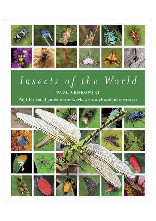 Insects of the World (An Illustrated Guide to the World's Most Abundant Creatures) by Paul Zborowski, 9781925546095