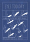 Eyes Too Dry (A Graphic Memoir About Heavy Feelings) by Alice Chipkin, Jessica Tavassoli, 9781760680039