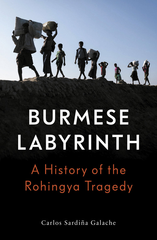 The Burmese Labyrinth by Carlos Sardina Galache, 9781788733212