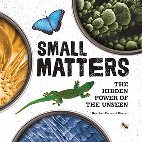 Small Matters (The Hidden Power of the Unseen) by Heather Ferranti Kinser, 9781541578142