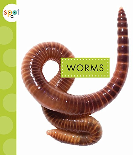 Worms - 9781681522302 by Nessa Black, 9781681522302