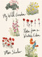 My Wild Garden (Notes from a Writer's Eden) by Meir Shalev, Joanna Chen, 9780805243512