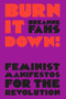 Burn It Down! (Feminist Manifestos for the Revolution) by Breanne Fahs, 9781788735384
