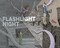 Flashlight Night by Matt Forrest Esenwine, Fred Koehler, 9781629794938