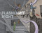 Flashlight Night by Matt Forrest Esenwine, Fred Koehler, 9781629794938
