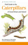 Field Guide to the Caterpillars of Great Britain and Ireland - 9781472933560 by Phil Sterling, Barry Henwood, Richard Lewington, 9781472933560