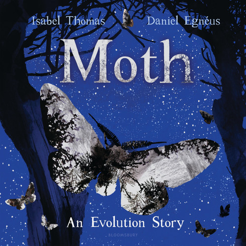 Moth (An Evolution Story) by Isabel Thomas, Daniel Egnéus, 9781547600205