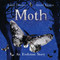Moth (An Evolution Story) by Isabel Thomas, Daniel Egnéus, 9781547600205