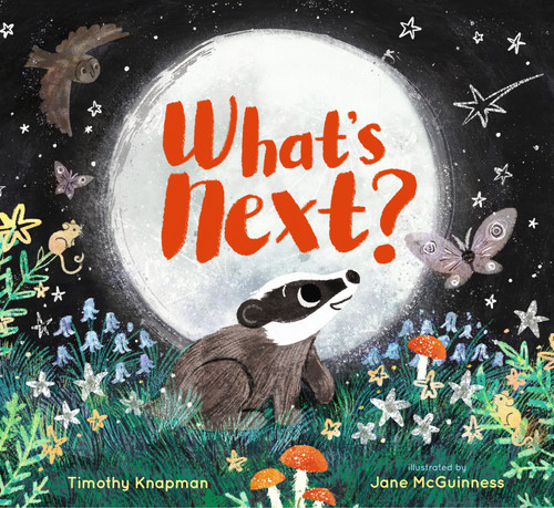 What's Next? by Timothy Knapman, Jane McGuinness, 9781536209891