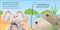 Pop-Up Peekaboo! Baby Animals (A surprise under every flap!) by DK, 9781465490513