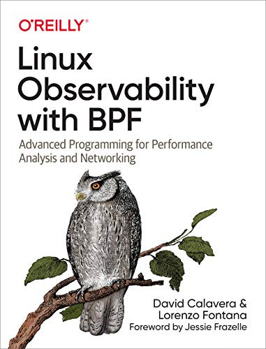 Linux Observability with BPF (Advanced Programming for Performance Analysis and Networking) by David Calavera, Lorenzo Fontana, 9781492050209