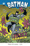 Poison Ivy's Deadly Garden by Erik Doescher, Mike DeCarlo, Lee Loughridge, Blake A. Hoena, 9781434211521