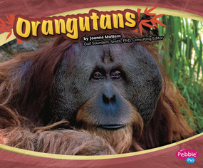 Orangutans - 9781429648486 by Joanne Mattern, 9781429648486
